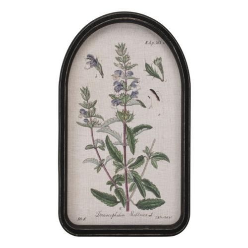 Melrose International Framed Floral Arch Print (Set of 2) - Primary Image