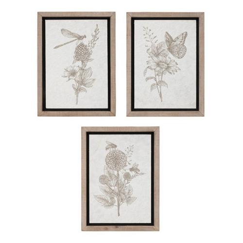 Melrose International Framed Floral Insect Print (Set of 3) - Primary Image