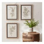 Melrose International Framed Floral Insect Print (Set of 3) - Thumbnail 6 of 6