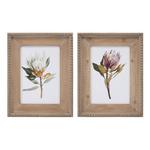 Melrose International Wood Framed Protea Floral Print (Set of 2) - Thumbnail 1 of 5