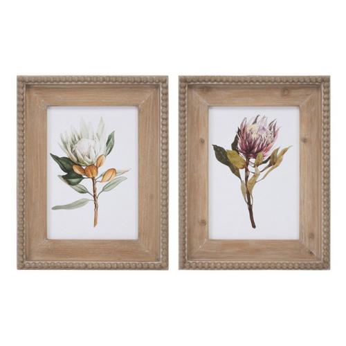 Melrose International Wood Framed Protea Floral Print (Set of 2) - Primary Image