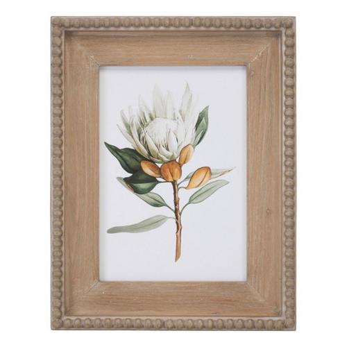 Melrose International Wood Framed Protea Floral Print (Set of 2) - Primary Image
