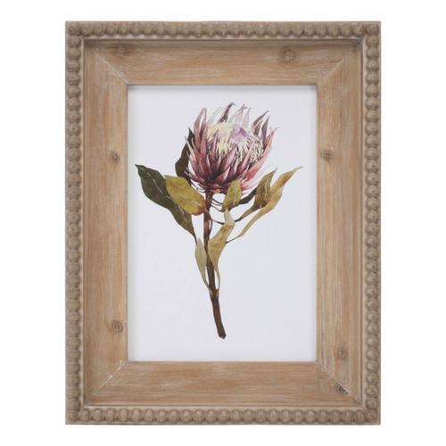 Melrose International Wood Framed Protea Floral Print (Set of 2) - Primary Image