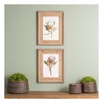 Melrose International Wood Framed Protea Floral Print (Set of 2) - Thumbnail 4 of 5