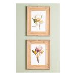 Melrose International Wood Framed Protea Floral Print (Set of 2) - Thumbnail 5 of 5