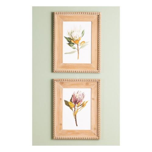 Melrose International Wood Framed Protea Floral Print (Set of 2) - Primary Image