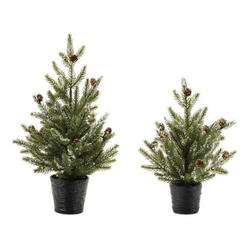 Melrose International Potted Mini Pine Tree in Black Planter(Set of 2) - Primary Image