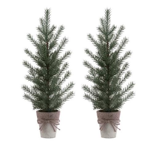 Melrose International 23.5in Potted Mini Pine Tree (Set of 2) - Primary Image
