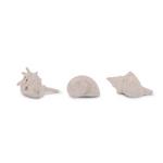 Melrose International Sea Shell Filler Dcor (Set of 12) - Thumbnail 1 of 2