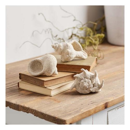 Melrose International Sea Shell Filler Dcor (Set of 12) - Primary Image