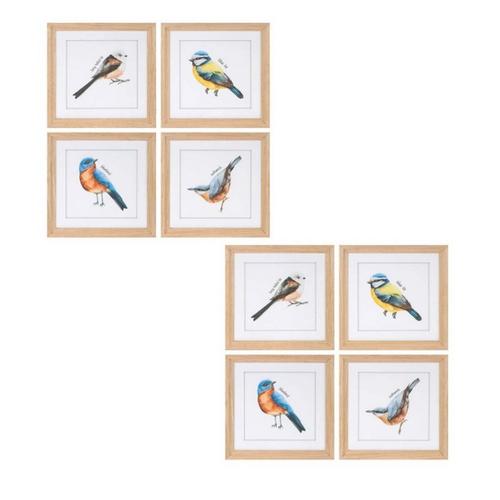 Melrose International Framed Bird Print Under Glass (Set of 8) - Primary Image