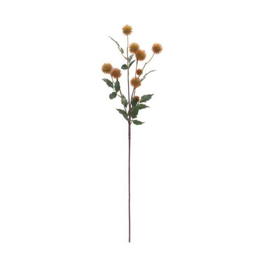 Melrose International Thistle Pod Branch (Set of 6) - Primary Image
