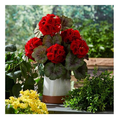 Melrose International 17.5in Geranium Floral Bush (Set of 2) - Primary Image