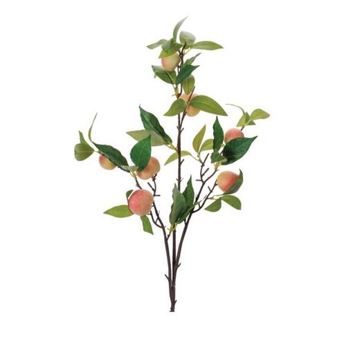 Melrose International Peach Fruit Foliage Branch (Set of 6) - Primary Image