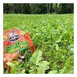 Antler King Slam Dunk Food Plot Seed - Thumbnail 3 of 3