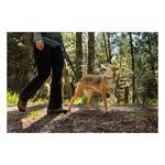Ruffwear Roamer Bungee Dog Leash - Thumbnail 6 of 6