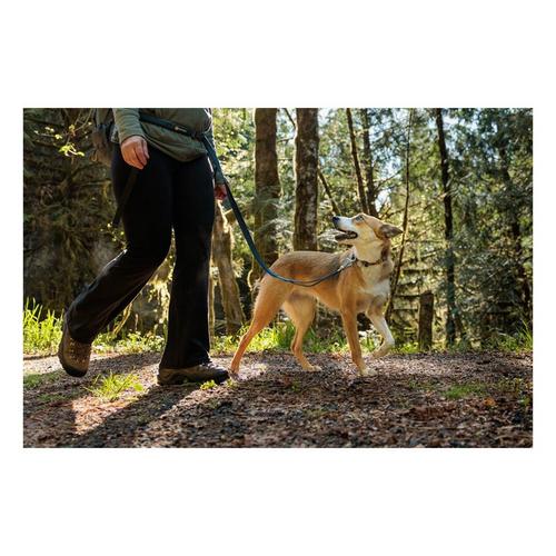 Ruffwear Roamer Bungee Dog Leash - Primary Image