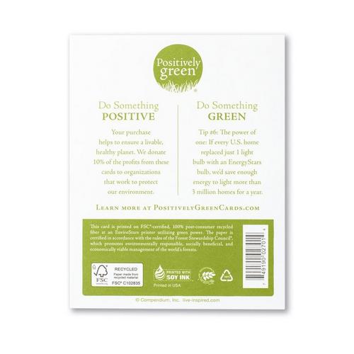 Compendium A Possibility Was Born Card - Primary Image