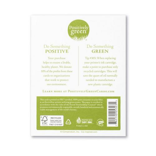 Compendium How Wonderful Life Is Card - Primary Image