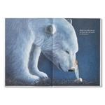 Compendium Maybe Book - Thumbnail 4 of 8