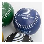 Champro Weighted Training Softball Complete Set of 4 - Thumbnail 4 of 6