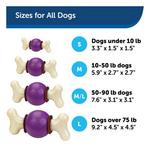 PetSafe Busy Buddy Bouncy Bone Dog Toy - Thumbnail 1 of 2