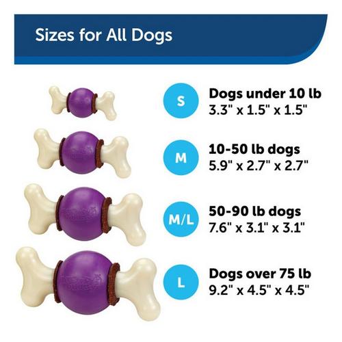 PetSafe Busy Buddy Bouncy Bone Dog Toy - Primary Image