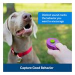 PetSafe Clik-R Dog Training Clicker - Thumbnail 2 of 4