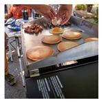 Coleman RoadTrip Griddle - Thumbnail 12 of 12