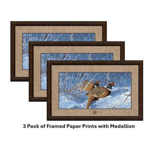 Wild Wings Snow Birds by Scot Storm- Paper Print Framed with Medallion - 3 Pack - Primary Image
