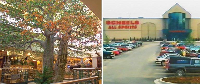 Iowa City SCHEELS