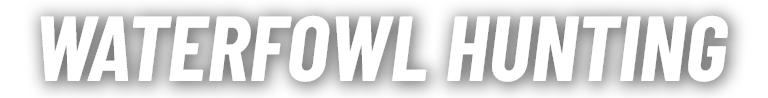 Waterfowl Hunting