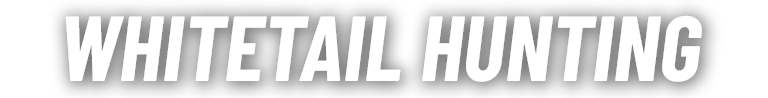 Whitetail Hunting
