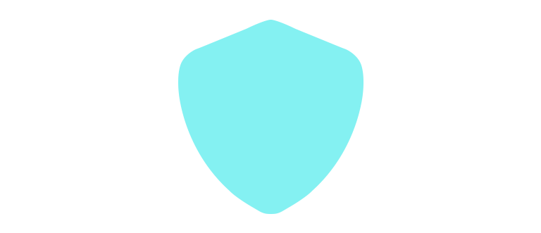 Teal colored shield icon
