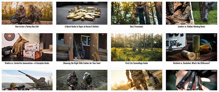 SCHEELS Expert Articles