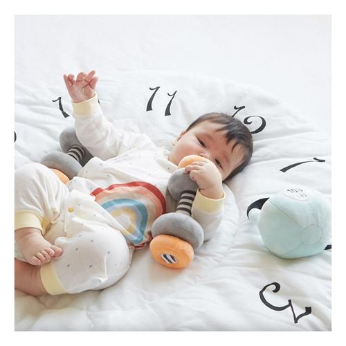 Wonder & Wise Little Lifter Plush Weights - Primary Image