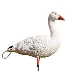 SX Full Body Snow Goose Decoy 10-Pack - Thumbnail 1 of 3