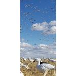 SX Full Body Snow Goose Decoy 10-Pack - Thumbnail 3 of 3