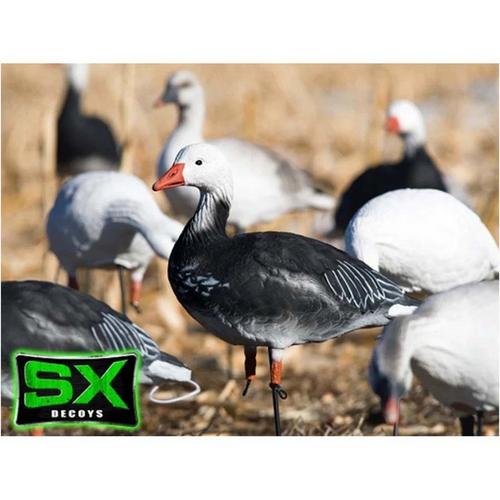 SX Full Body Adult Blue Goose Decoy 10 Pack - Primary Image