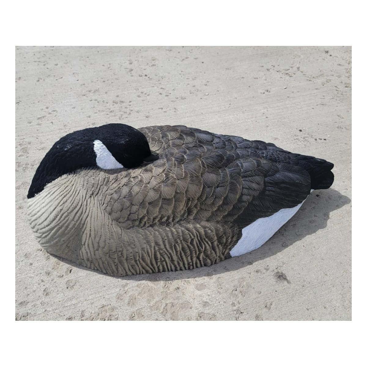 SX Decoys Canada Goose Sleeper Shells 6-pack - SX Decoys