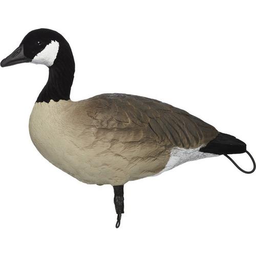 SX Lesser Painted Full Body Canada Goose Decoys 6 Pack - Primary Image
