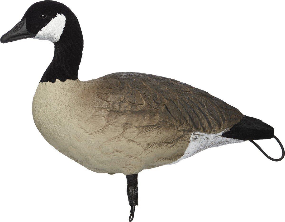 SX Lesser Painted Full Body Canada Goose Decoys 6 Pack - SX Decoys