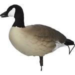 SX Lesser Painted Full Body Canada Goose Decoys 6 Pack - Thumbnail 2 of 4