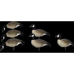 SX Lesser Painted Full Body Canada Goose Decoys 6 Pack - Thumbnail 3 of 4
