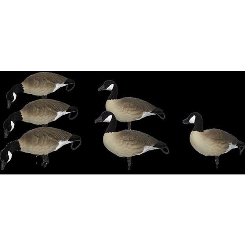 SX Lesser Painted Full Body Canada Goose Decoys 6 Pack - Primary Image