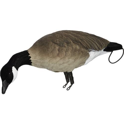 SX Lesser Painted Full Body Canada Goose Decoys 6 Pack - Primary Image