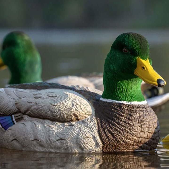 SX Flocked Head Mallard Floater Decoy 6 pack - SX Decoys