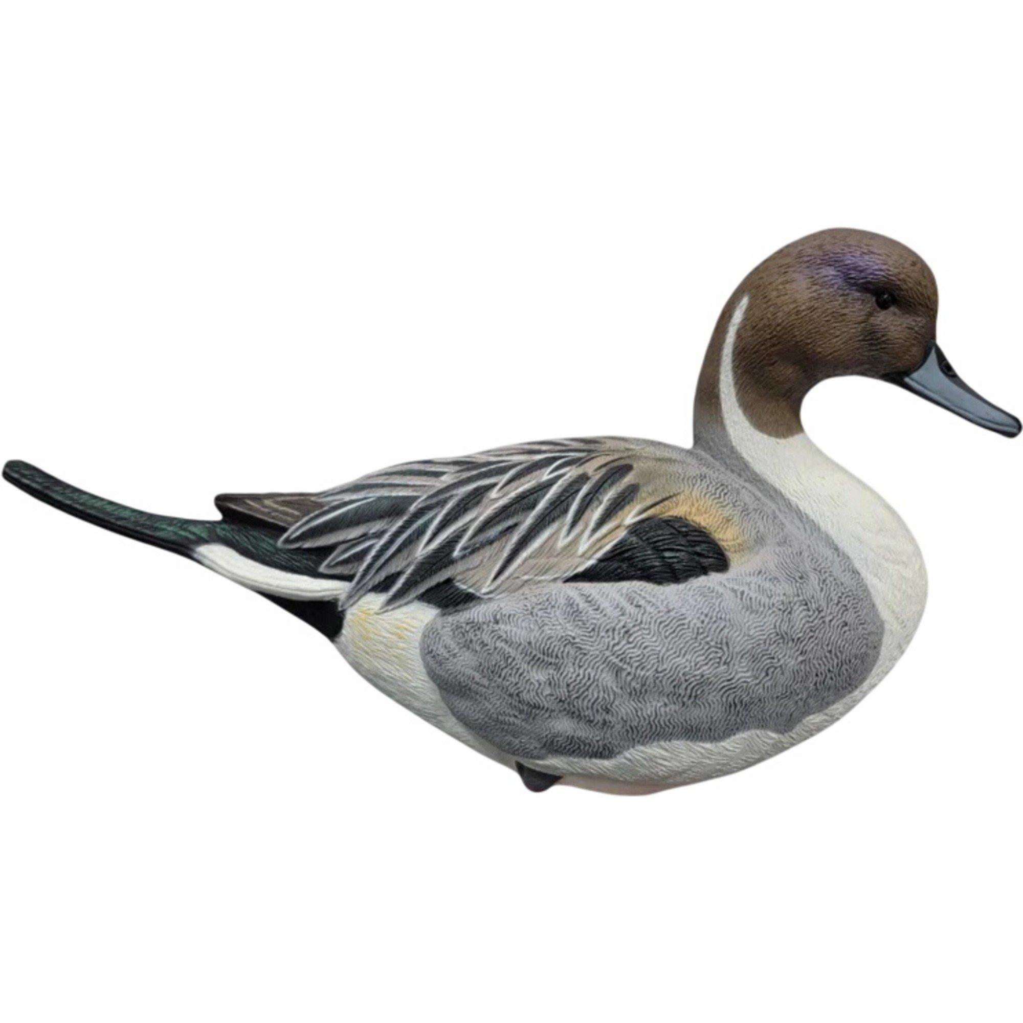 SX Full Body Pintail Duck Decoys - SX Decoys