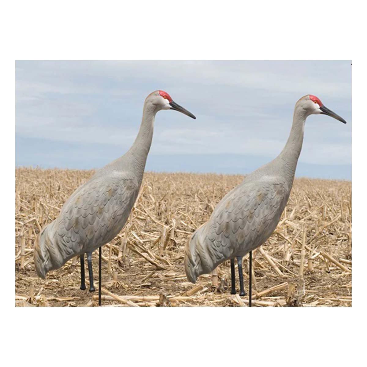SX Full Body Painted Sandhill Crane Decoy 2 Pack - SX Decoys