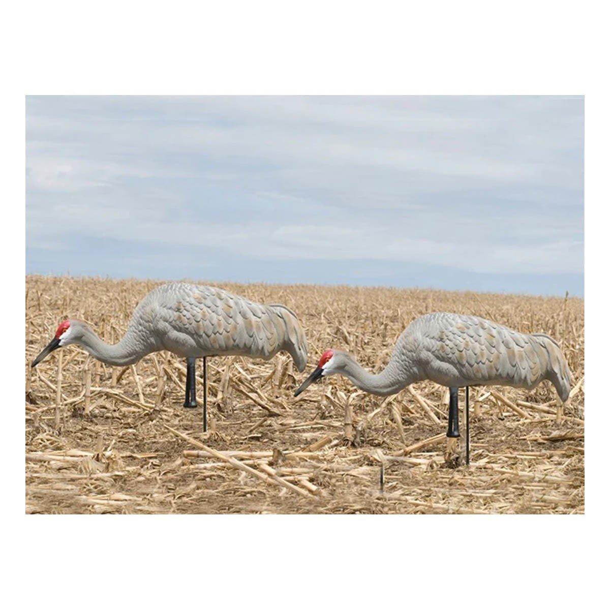 SX Full Body Painted Sandhill Crane Decoy 2 Pack - SX Decoys